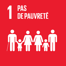 SDG 1 — No poverty