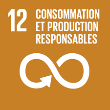 SDG 12 — Responsible consumption and production