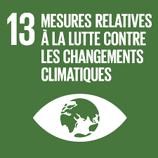 SDG 13 — Climate action