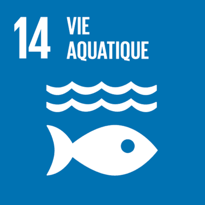SDG 14 — Life below water