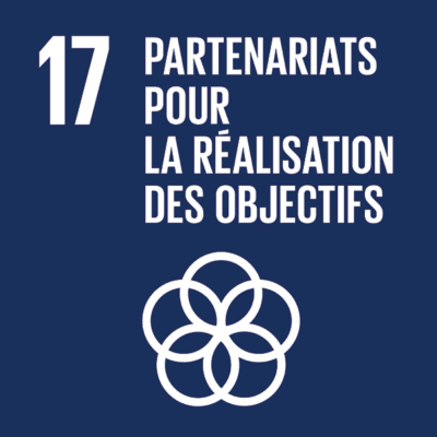 SDG 17 — Partnerships for the goals